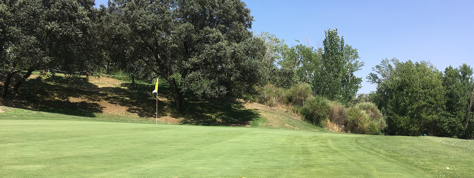 Green del campo La Dehesa Golf
