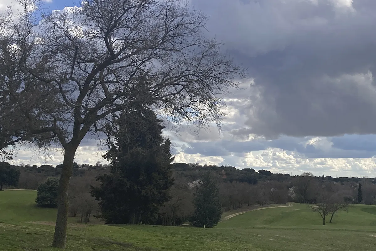 /images/campos/robledal-golf/entorno-robledal-golf.webp